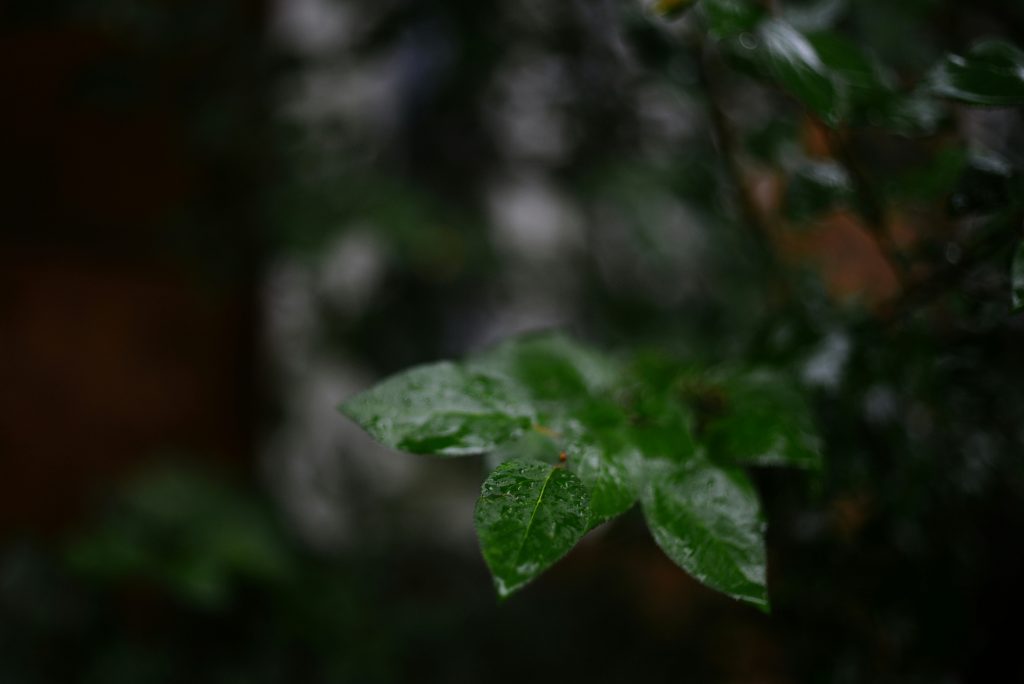 東京遭遇致災性暴雨，市區淹水情況嚴重