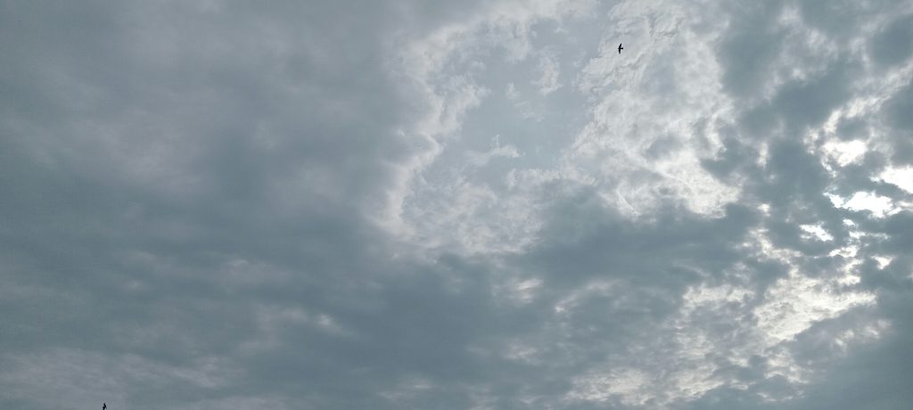 颱風麗琵生成，香港風雨未平新險再至